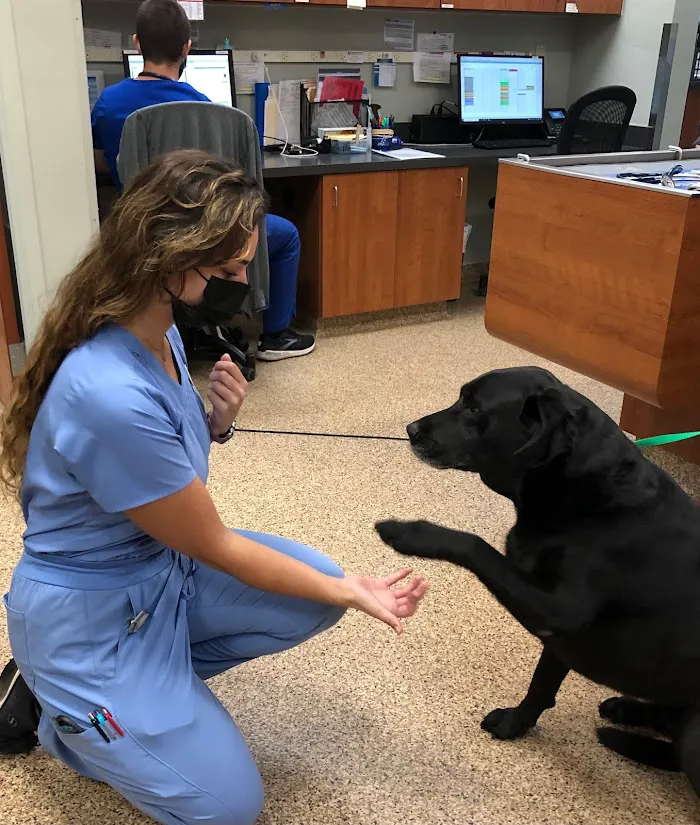 Town & Country Veterinarians and Pet Resort 6