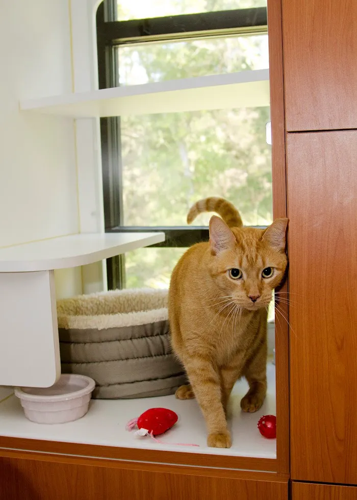 Town & Country Veterinarians and Pet Resort 10