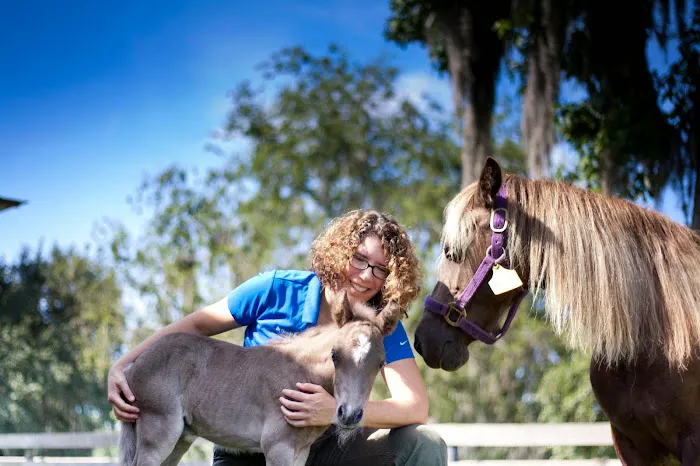 Large Animal Hospital, UF College of Veterinary Medicine 1