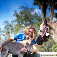 Large Animal Hospital, UF College of Veterinary Medicine ico
