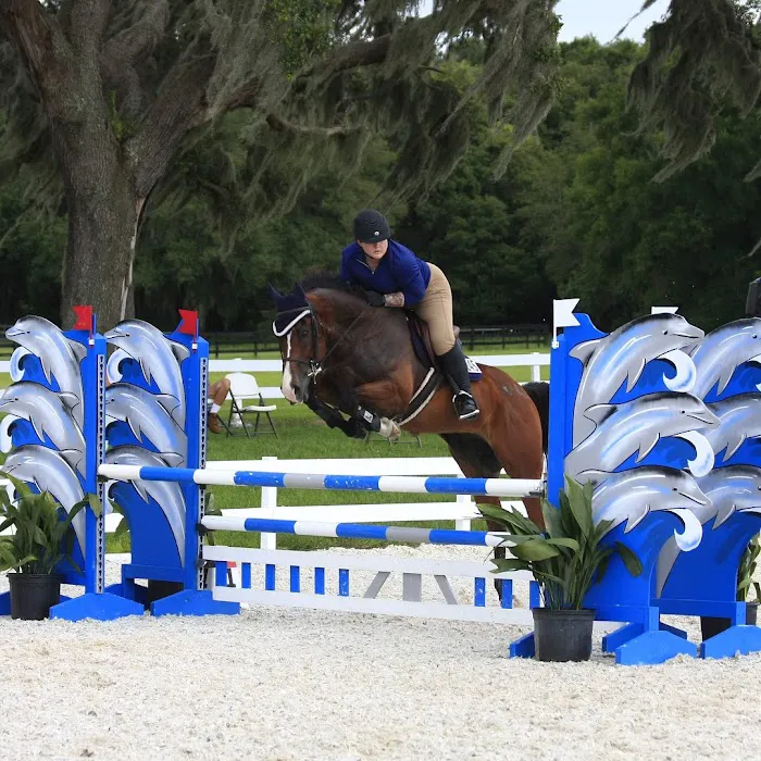 Large Animal Hospital, UF College of Veterinary Medicine 3