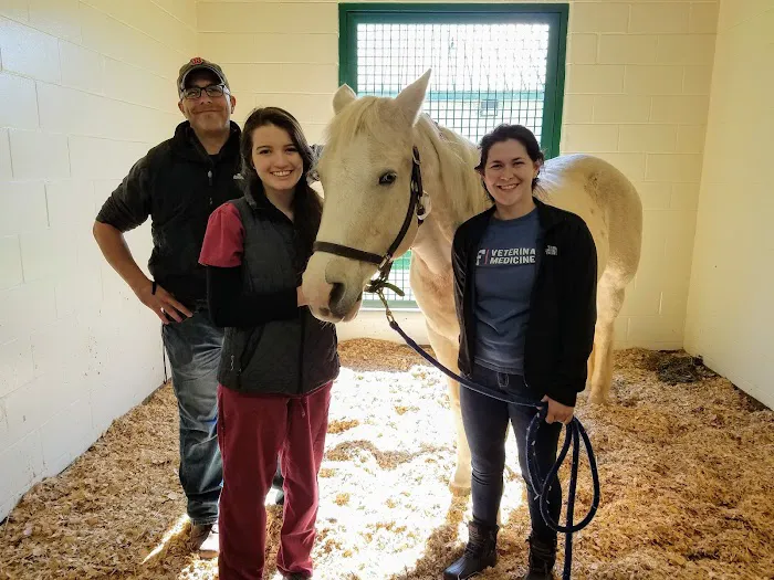 Large Animal Hospital, UF College of Veterinary Medicine 10