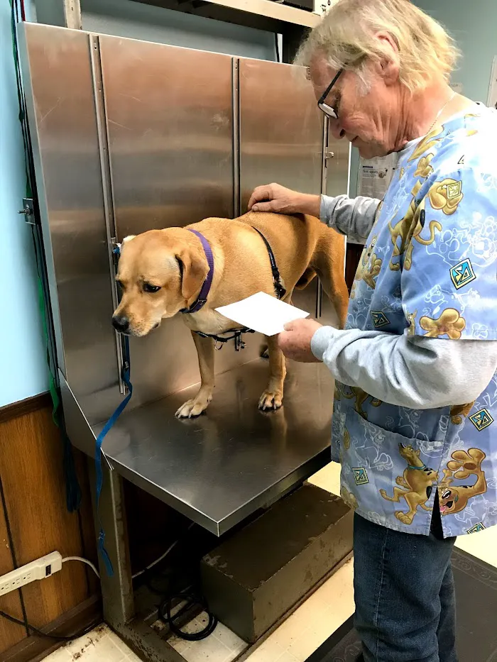 Ellenwood Animal Hospital 12