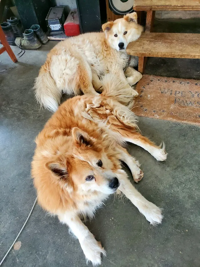 Senoia Animal Hospital and Pet Resort 12