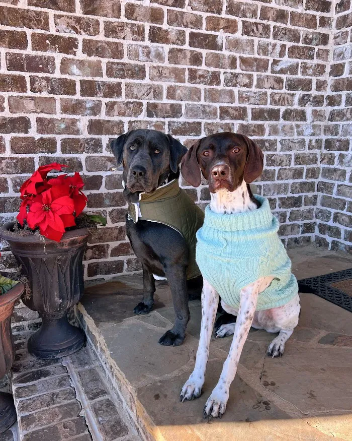 Senoia Animal Hospital and Pet Resort 12