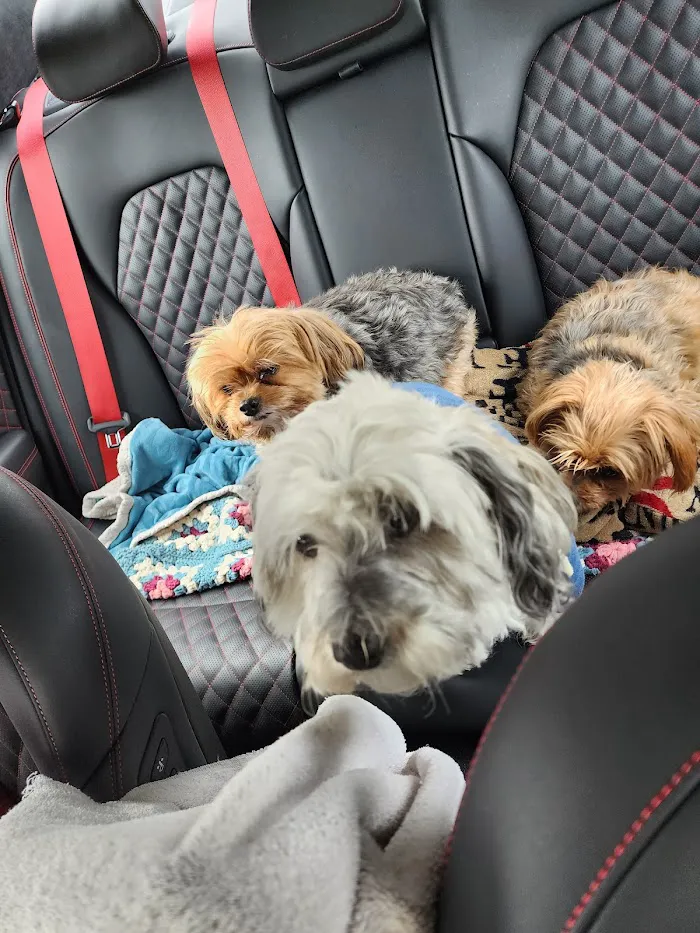 Senoia Animal Hospital and Pet Resort 12