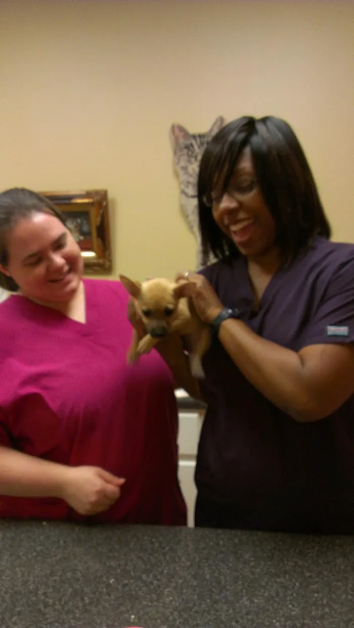 Mallards Landing Veterinary Hospital 12