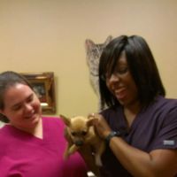 Mallards Landing Veterinary Hospital ico