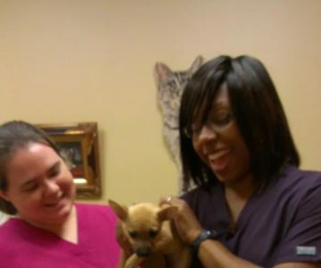 Mallards Landing Veterinary Hospital