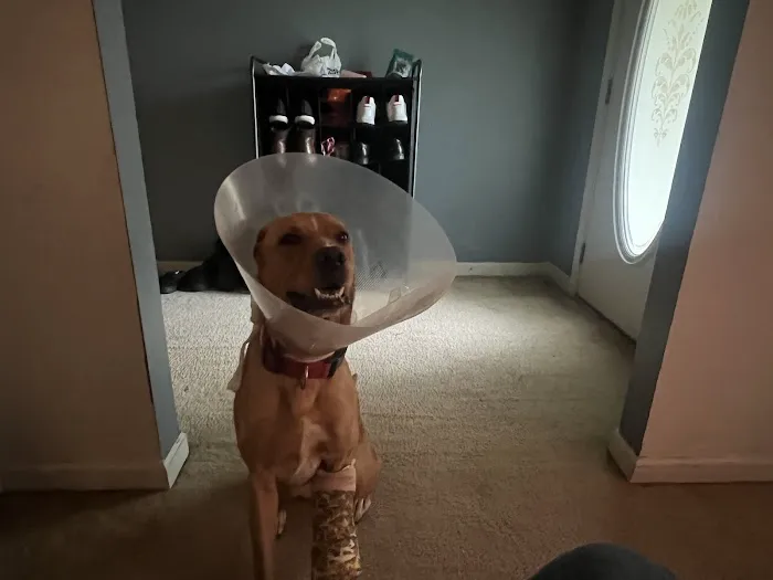 Sharpsburg Animal Hospital 12