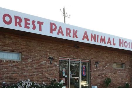 Forest Park Animal Hospital