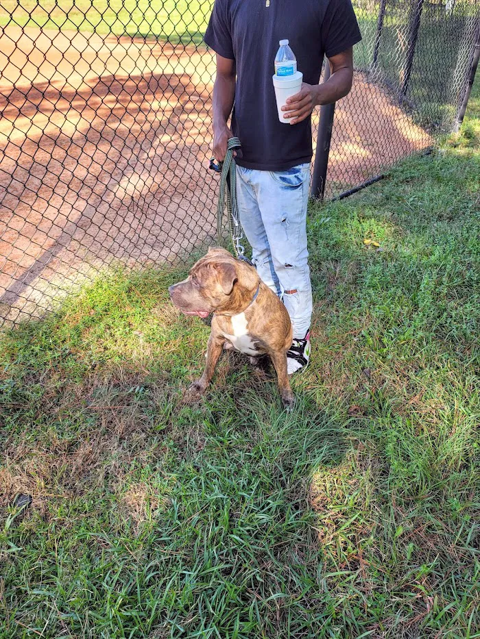 Banfield Pet Hospital 12