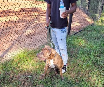Banfield Pet Hospital
