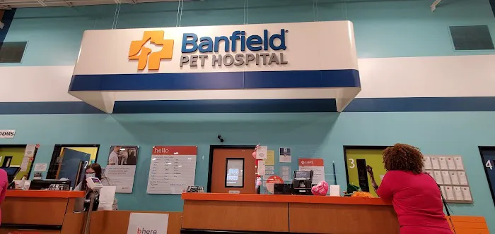 Banfield Pet Hospital 12