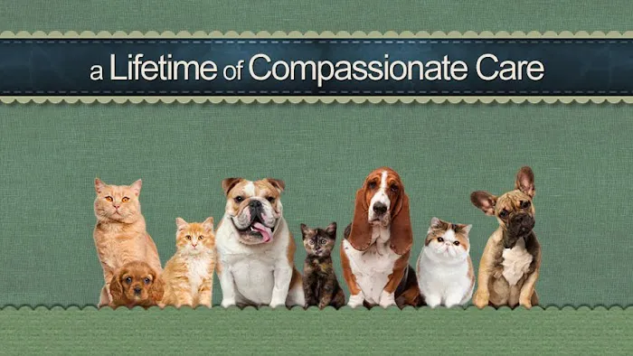 Henry County Veterinary Hospital 12