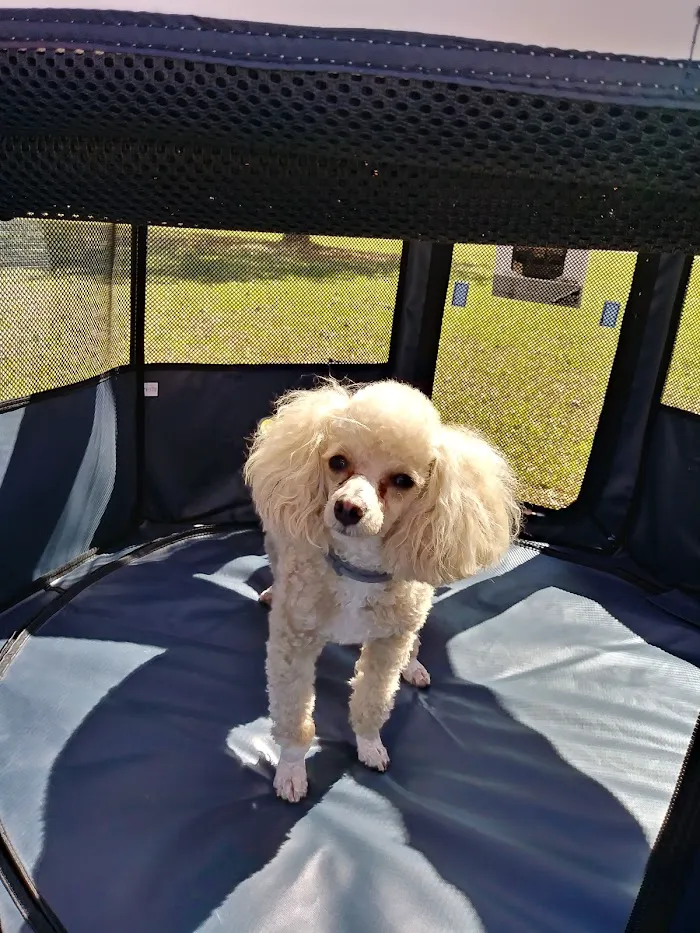 East Lake Veterinary Hospital 12