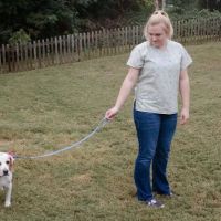 East Lake Veterinary Hospital ico