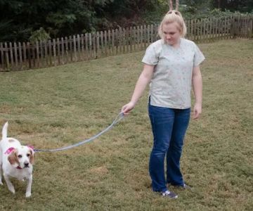 East Lake Veterinary Hospital