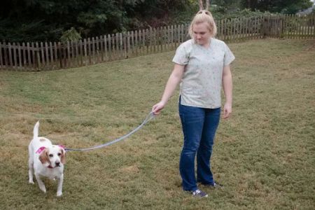 East Lake Veterinary Hospital