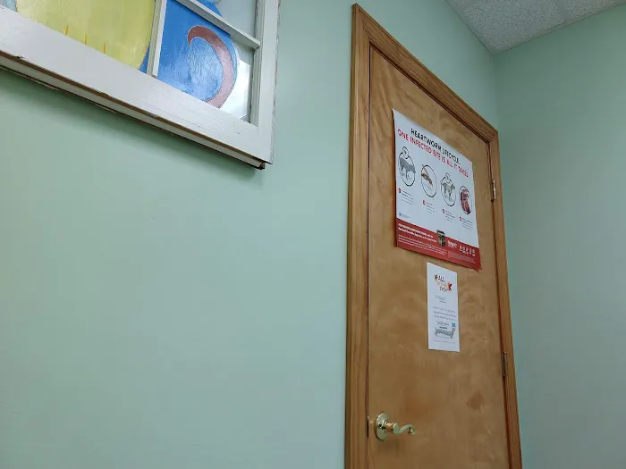 East Lake Veterinary Hospital 12