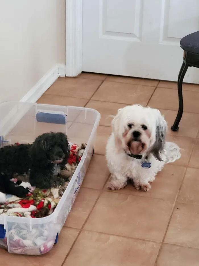 Stockbridge Veterinary Hospital 9