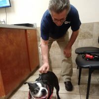 Stockbridge Veterinary Hospital ico
