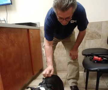 Stockbridge Veterinary Hospital