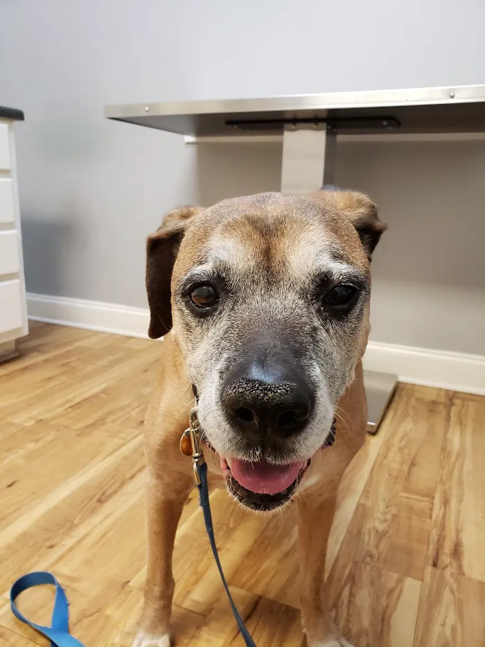 Woodland Animal Hospital 12