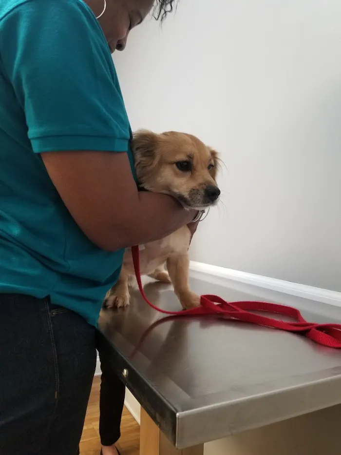 Woodland Animal Hospital 12