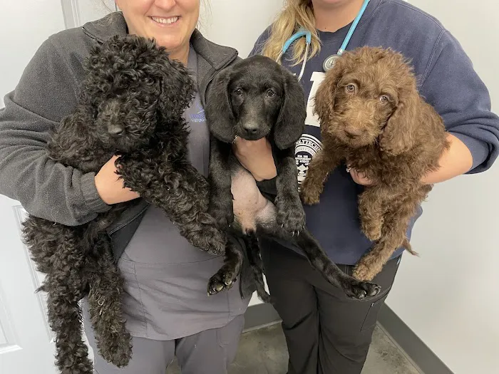 Sweetwater Veterinary Hospital 2