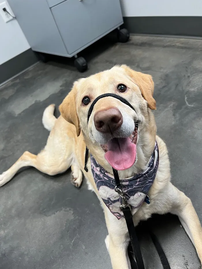 Sweetwater Veterinary Hospital 8