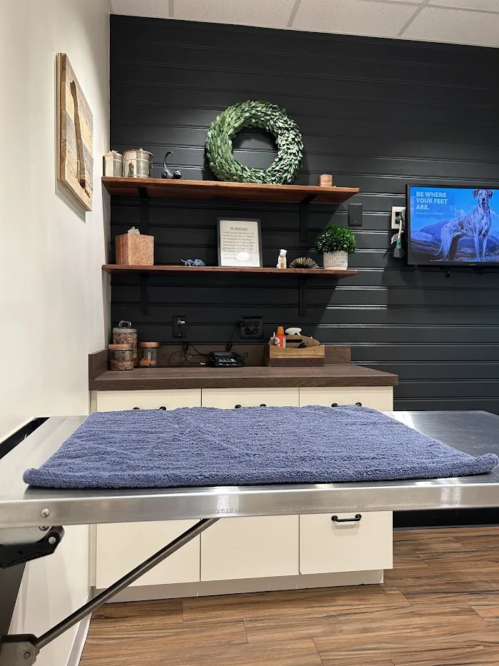 The Healthy Pet Veterinary Clinic 12