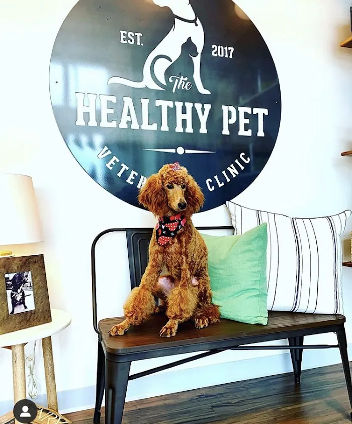 The Healthy Pet Veterinary Clinic 12