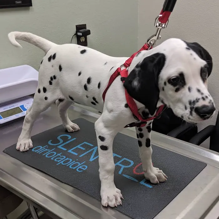 Paws N Claws Animal Wellness Center 3