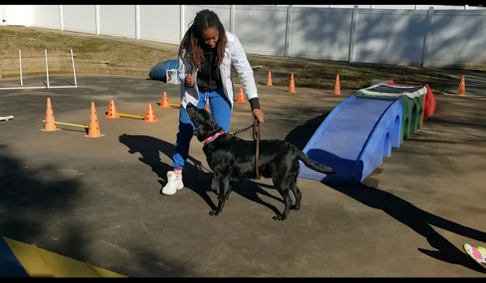 Paws N Claws Animal Wellness Center 8