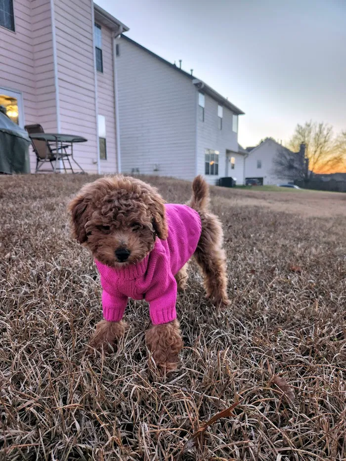Eagle’s Landing Veterinary Hospital 12