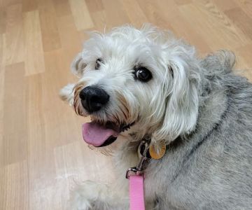 Eagle’s Landing Veterinary Hospital