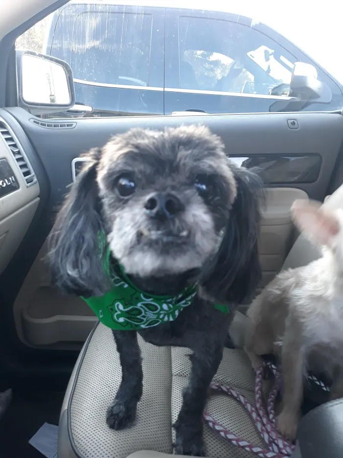 Fairview Animal Hospital 12