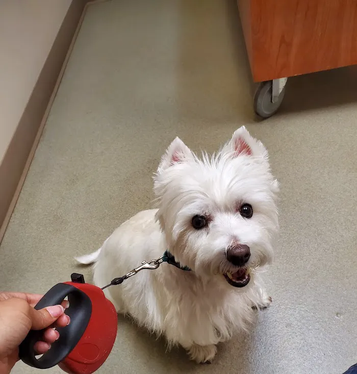 Fairview Animal Hospital 12