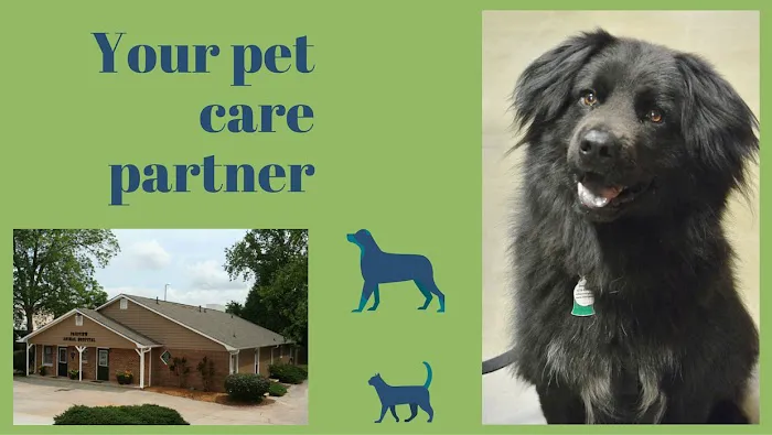 Fairview Animal Hospital 12