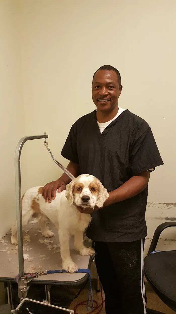South Fulton Pet Care 1