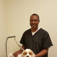 South Fulton Pet Care ico