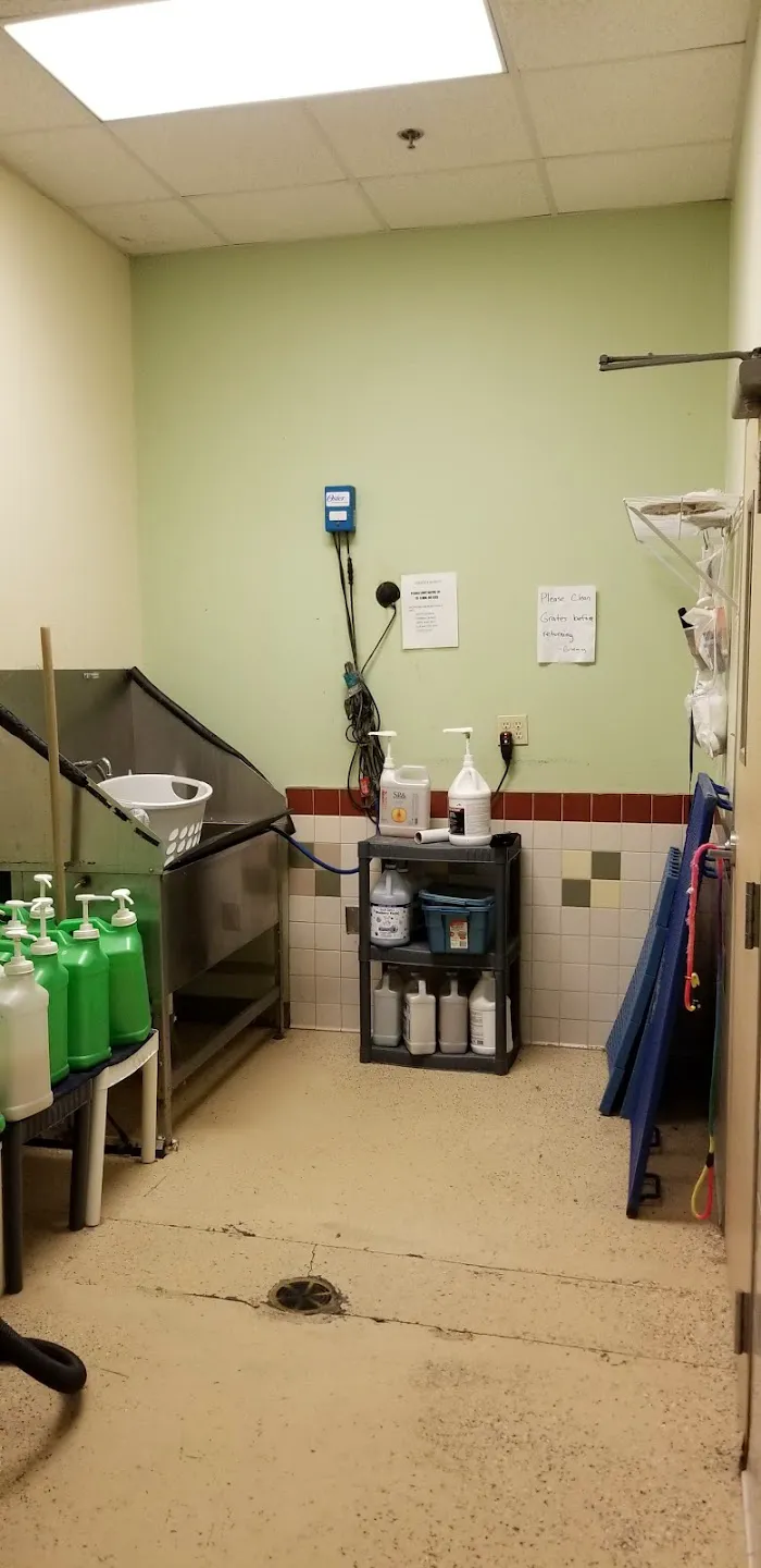 South Fulton Pet Care 6