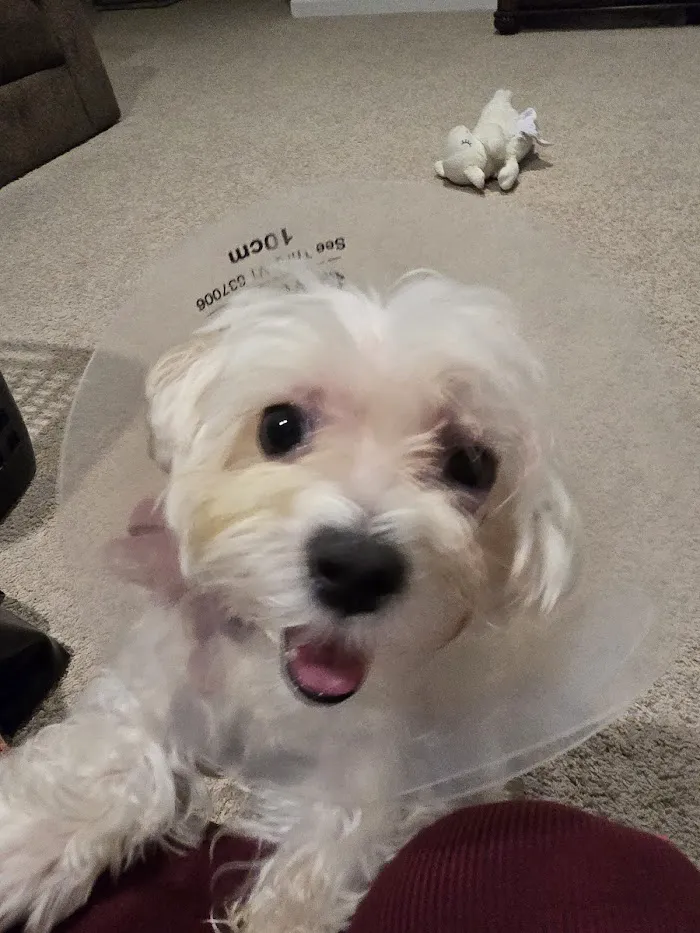 Banfield Pet Hospital 3