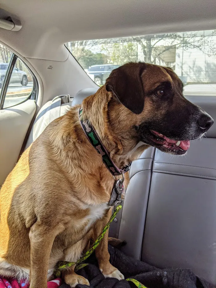 Animal Medical Clinic of Peachtree City 12