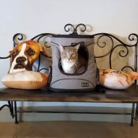 Animal Medical Clinic of Peachtree City ico