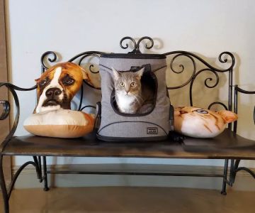 Animal Medical Clinic of Peachtree City