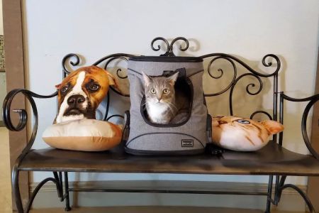Animal Medical Clinic of Peachtree City