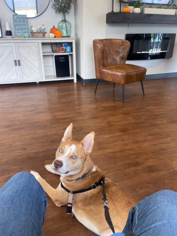 Pathway Animal Hospital and Urgent Care 12