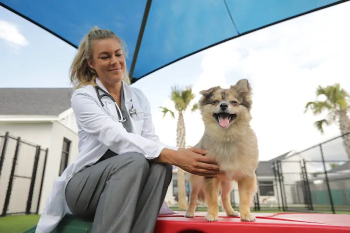 NewDay Veterinary Care 12